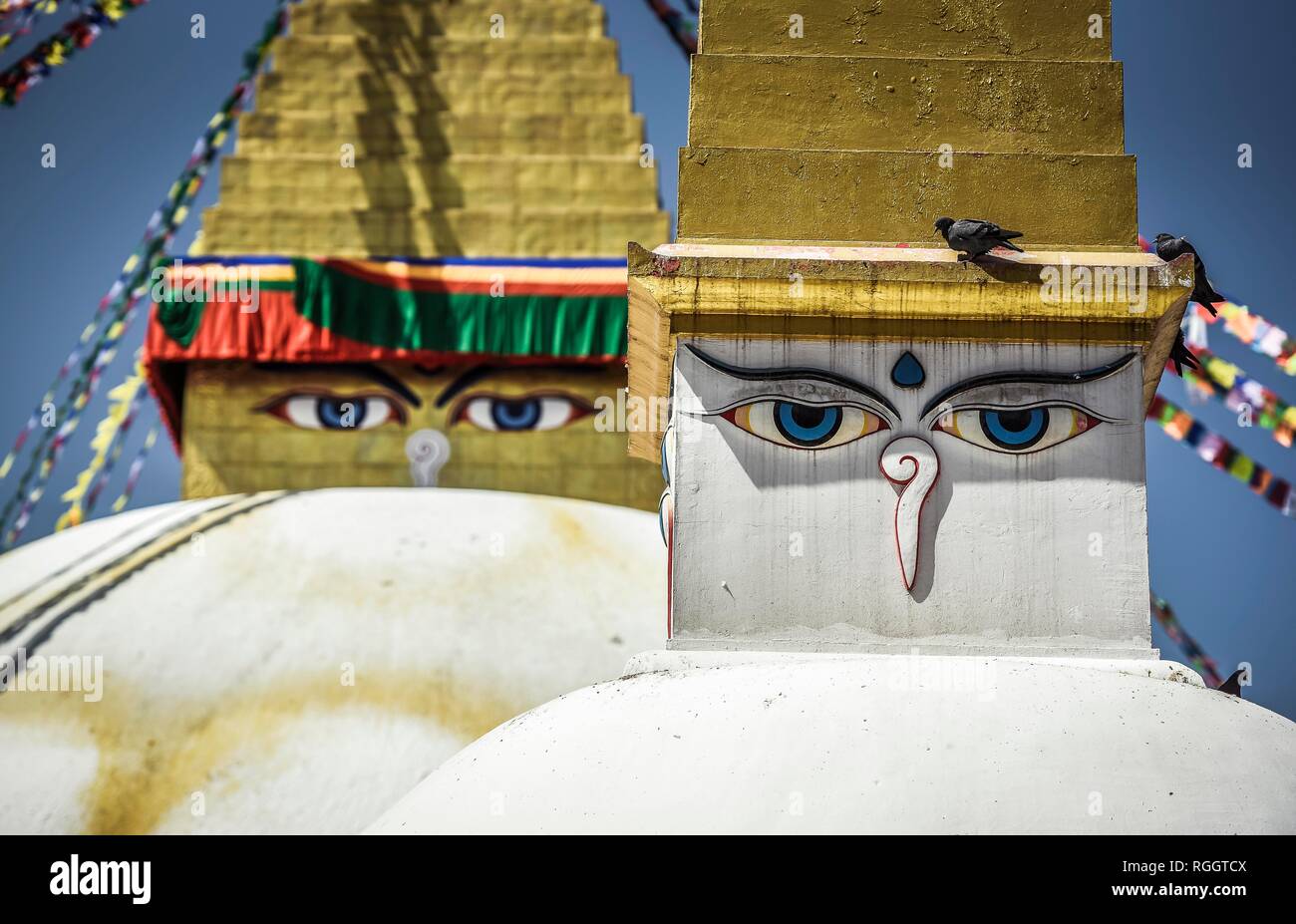 Tibetan eyes hires stock photography and images Alamy