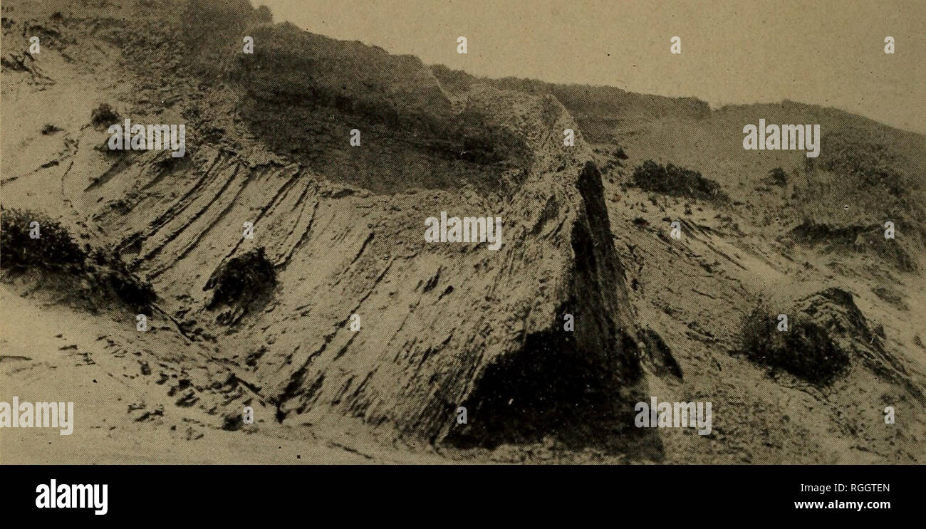 Bulletin of the Geological Society of America. Geology. BULL. GEOL. SOC.  AM. VOL. 16, 1904, PL. 66. ^^k^JÂ£ Figure 1.âJacob Sand overturned and  recumbent on Herod Gravel ; Gardiner Island, New