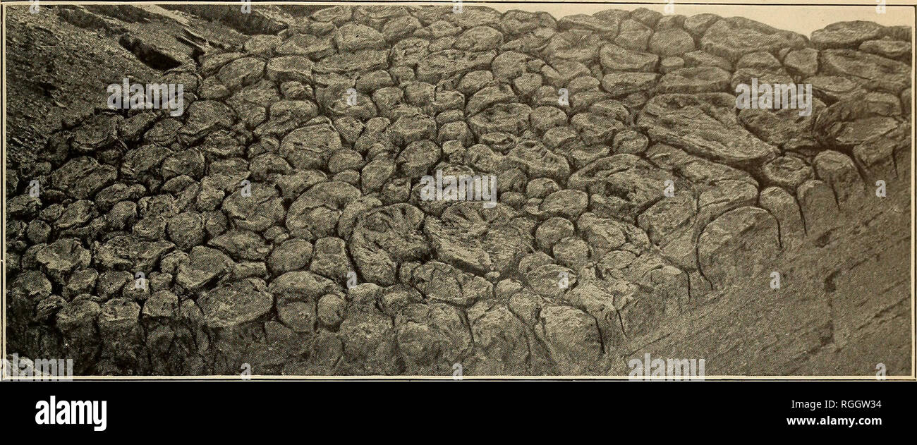 Bailey willis hires stock photography and images Alamy