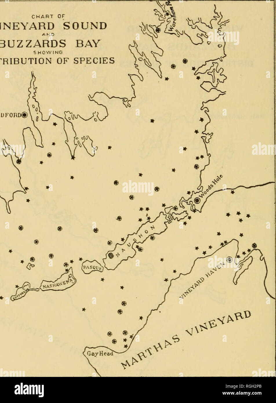 . Bulletin of the Bureau of Fisheries. Fisheries; Fish culture. 382 BULLETIN OF THE BUREAU OF FISHERIES. CHART OF VINEYARD SOUND AND BUZZARDS BAY S MOWING DISTRIBUTION OF SPECIES NEW BEUFOnO®. K/^. ftVA^'' Chart 164.—Busycon canaliculatum. (See explanation of chart 26.). Please note that these images are extracted from scanned page images that may have been digitally enhanced for readability - coloration and appearance of these illustrations may not perfectly resemble the original work.. United States. Bureau of Fisheries. Washington, D. C. : Govt. Print. Off. Stock Photo