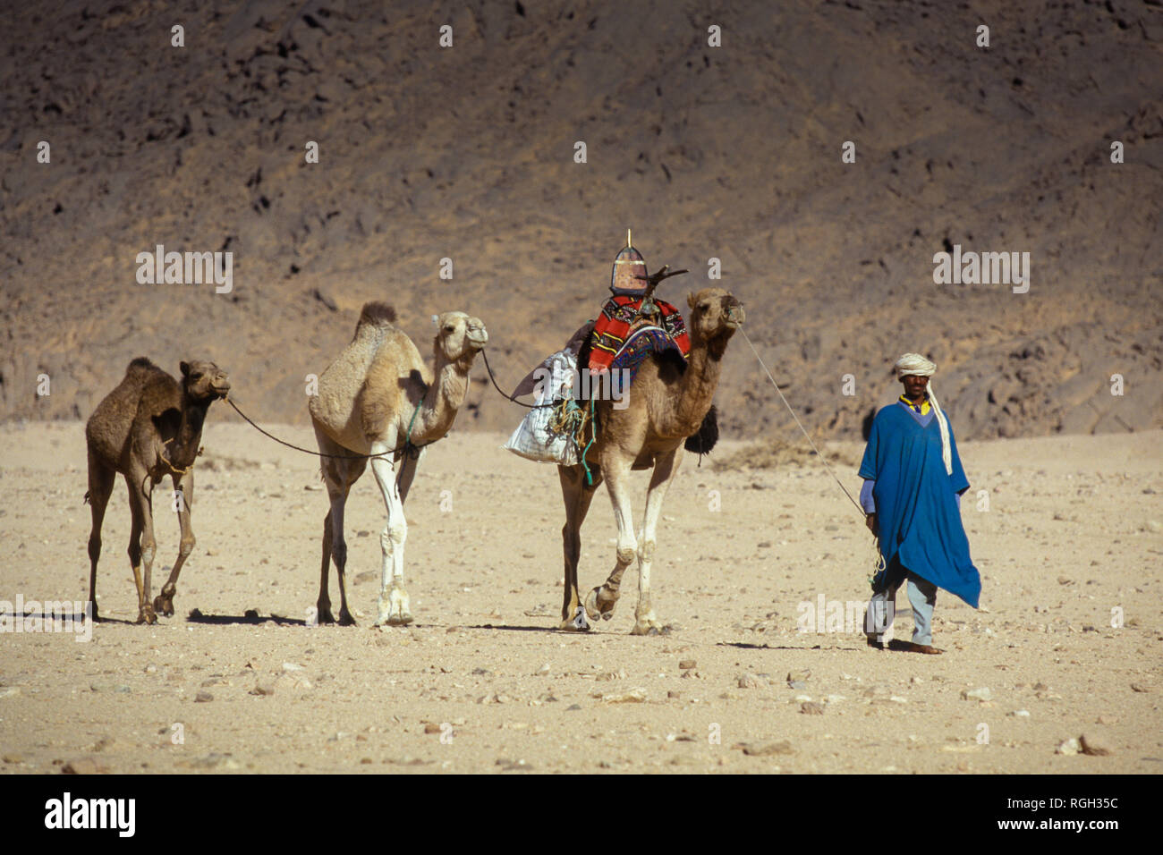 TIMIMOUN, ALGERIA - JANUARY 18, 2002: Unknown populations of the Touareg tribe with their camels cross the Acacus desert Stock Photo