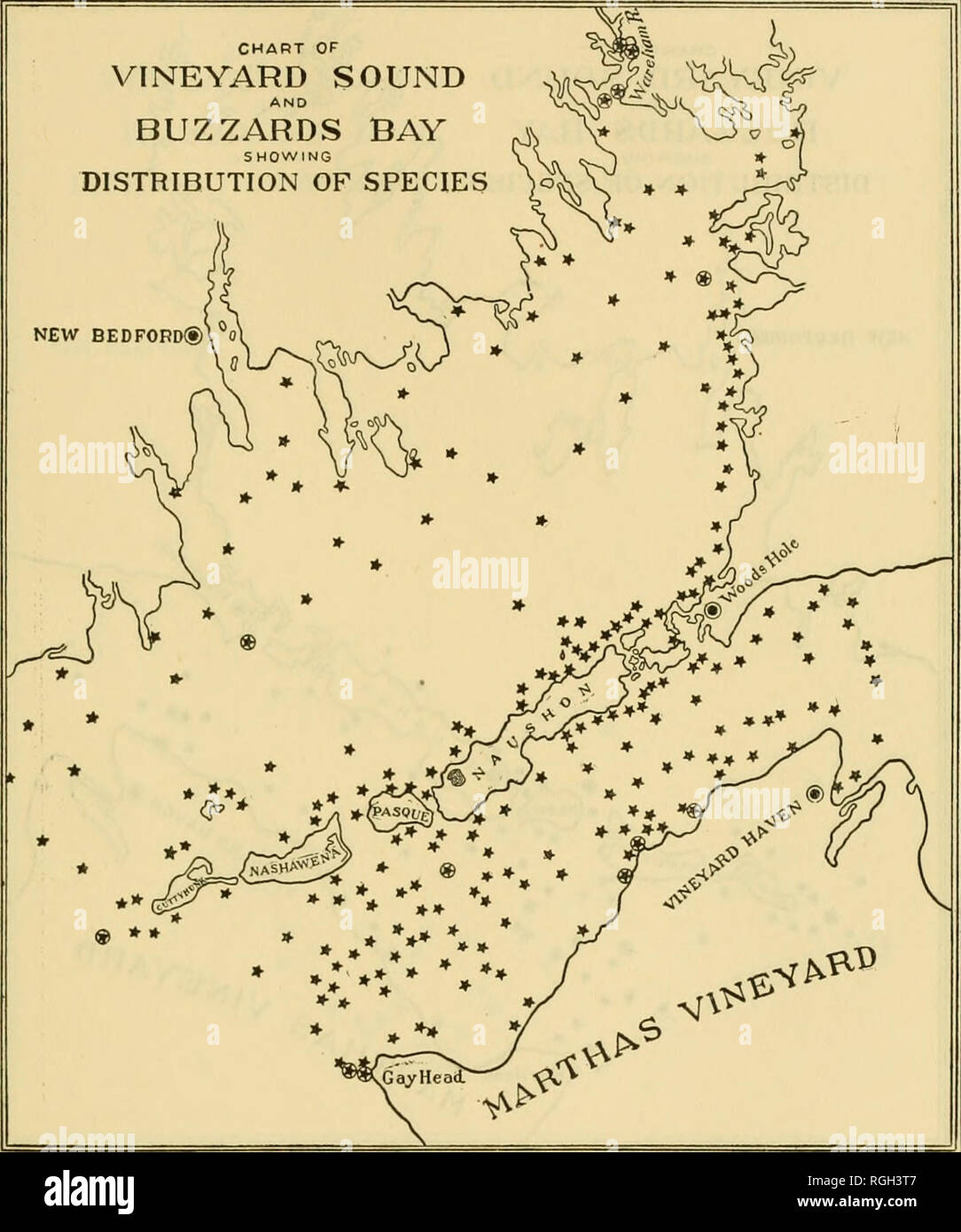 . Bulletin of the Bureau of Fisheries. Fisheries; Fish culture. BIOLOGICAL SURVEY OF WOODS HOLE AND VICINITY. 341. Chart 123.—Anomia simplex. (See explanation of chart 26.). Please note that these images are extracted from scanned page images that may have been digitally enhanced for readability - coloration and appearance of these illustrations may not perfectly resemble the original work.. United States. Bureau of Fisheries. Washington, D. C. : Govt. Print. Off. Stock Photo
