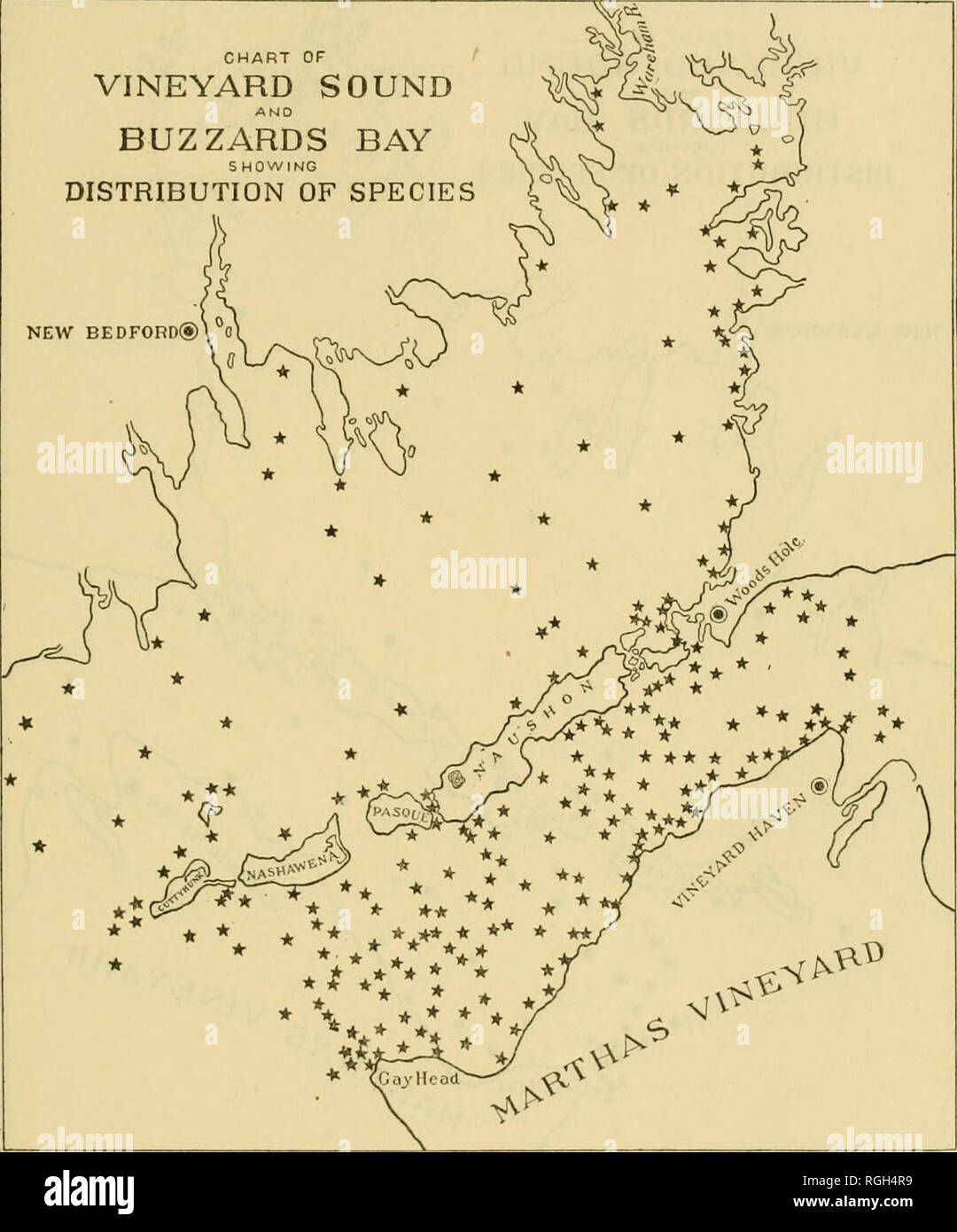 . Bulletin of the Bureau of Fisheries. Fisheries; Fish culture. BIOLOGICAL SURVEY OF WOODS HOLE AND VICINITY. 249 CHART OF VINEYARD SOUND BUZZARDS BAY SHOWING DISTRIBUTION OF SPECIES NEW BEDFORD® 0. Chart 31.—Bugula turrita.. Please note that these images are extracted from scanned page images that may have been digitally enhanced for readability - coloration and appearance of these illustrations may not perfectly resemble the original work.. United States. Bureau of Fisheries. Washington, D. C. : Govt. Print. Off. Stock Photo