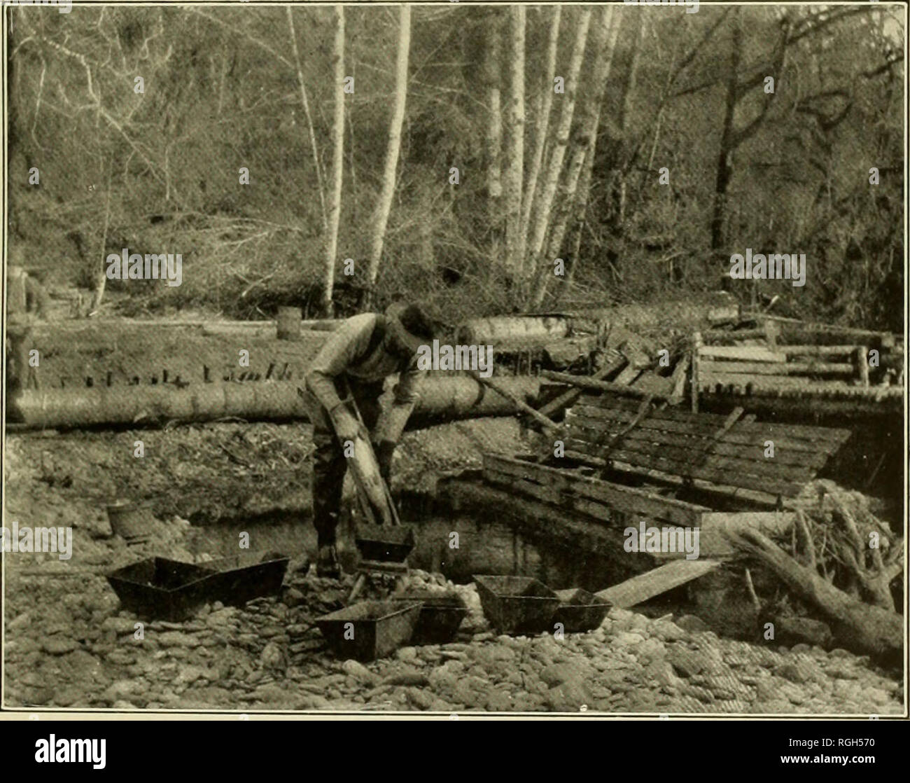 Incision fish hi-res stock photography and images - Alamy