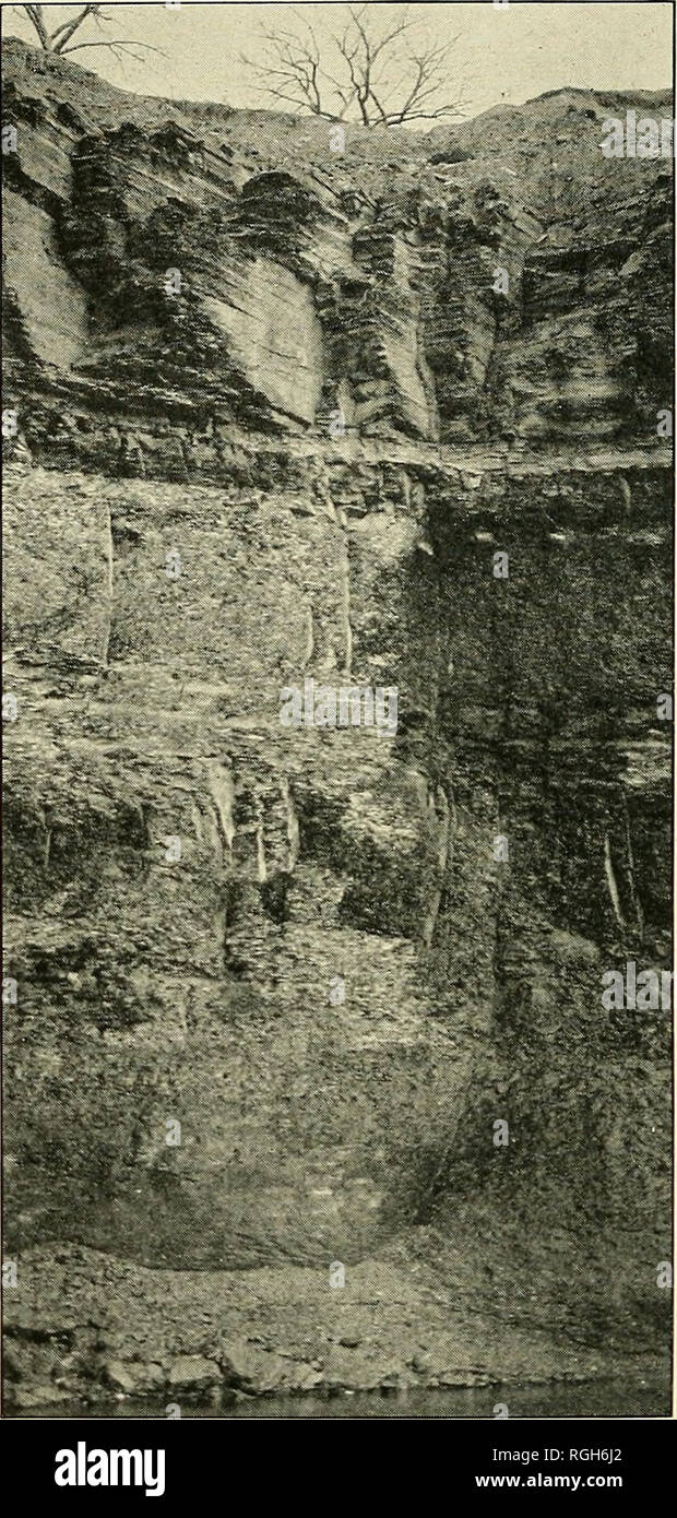 buffalo river work on Bulletin Of The Buffalo Society Of Natural Sciences Natural History Science Middlesex Shale Genesee Shale Moscow Shale West River Shale Genundewa Limestone Concretions Moscow Shale F Houghton Photo Fig 11 Succession