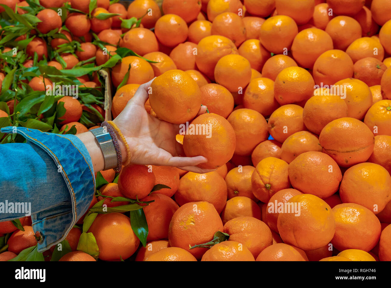 Taking oranges at the market. Many fresh oranges. Juicy oranges Stock