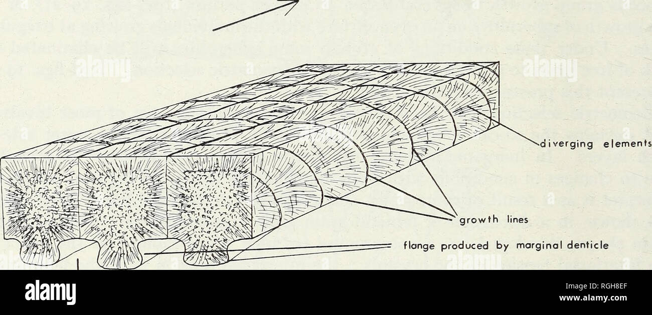 Oute Hi Res Stock Photography And Images Page 4 Alamy