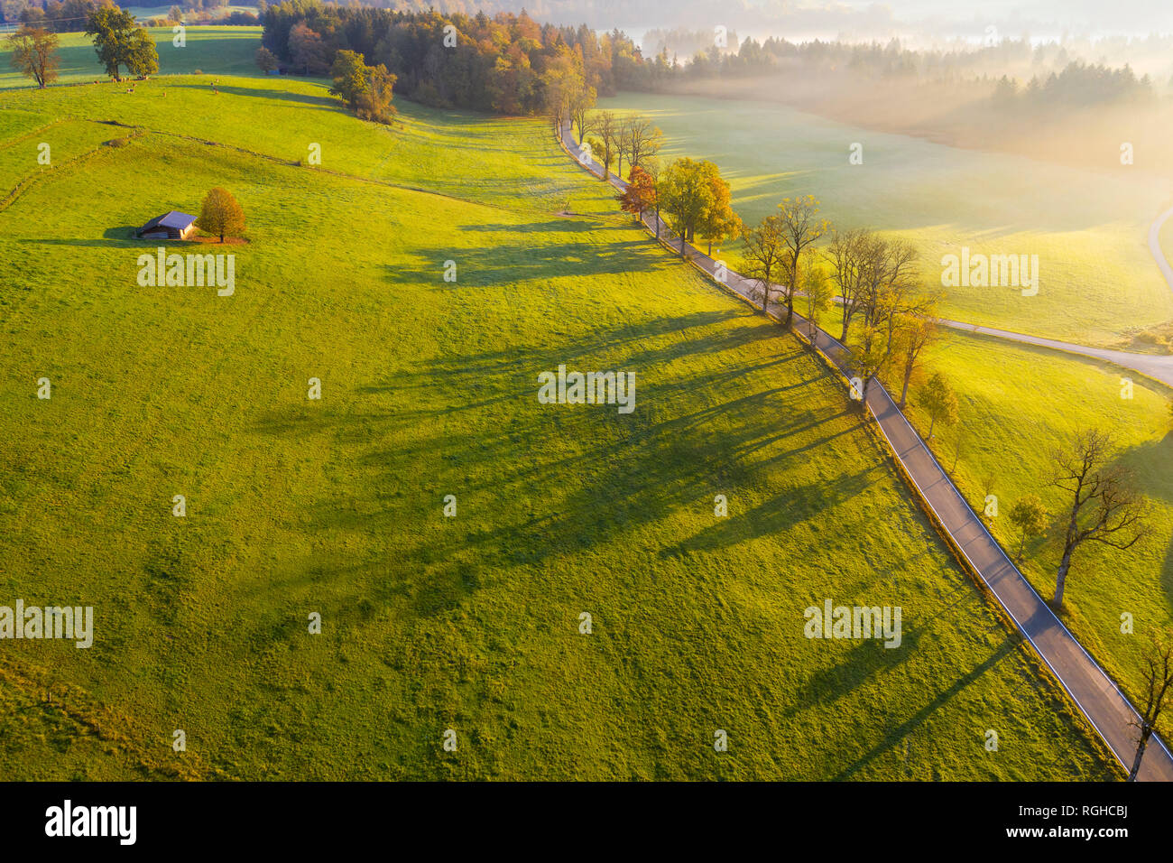 Germany, Bavaria, Upper Bavaria, Dietramszell, Aerial view of alley in the morning light Stock Photo