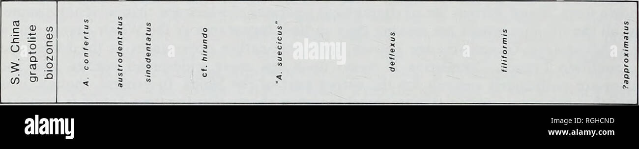 Page 11 Lli N High Resolution Stock Photography And Images Alamy