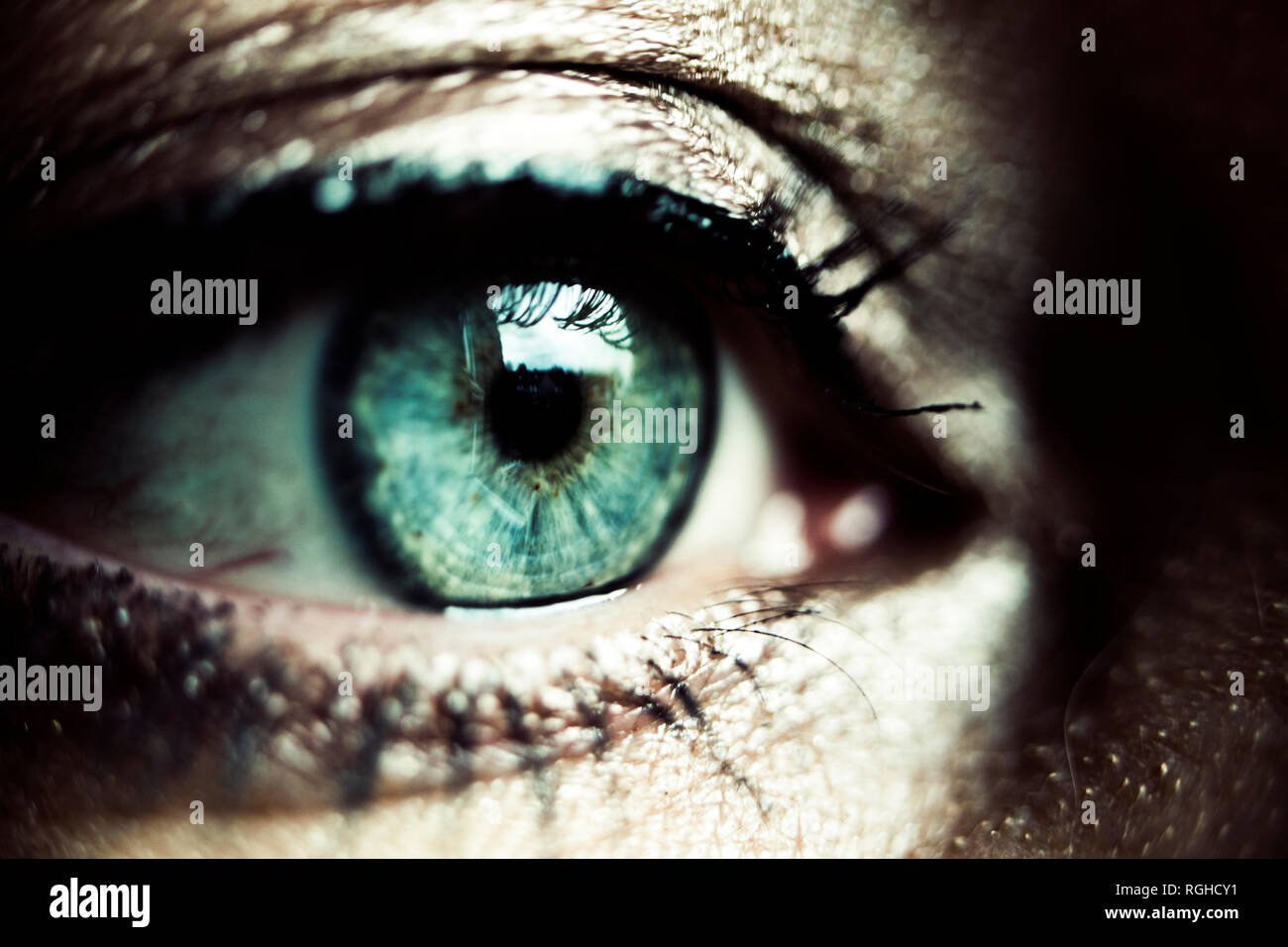 Green eye of made-up woman, close-up Stock Photo