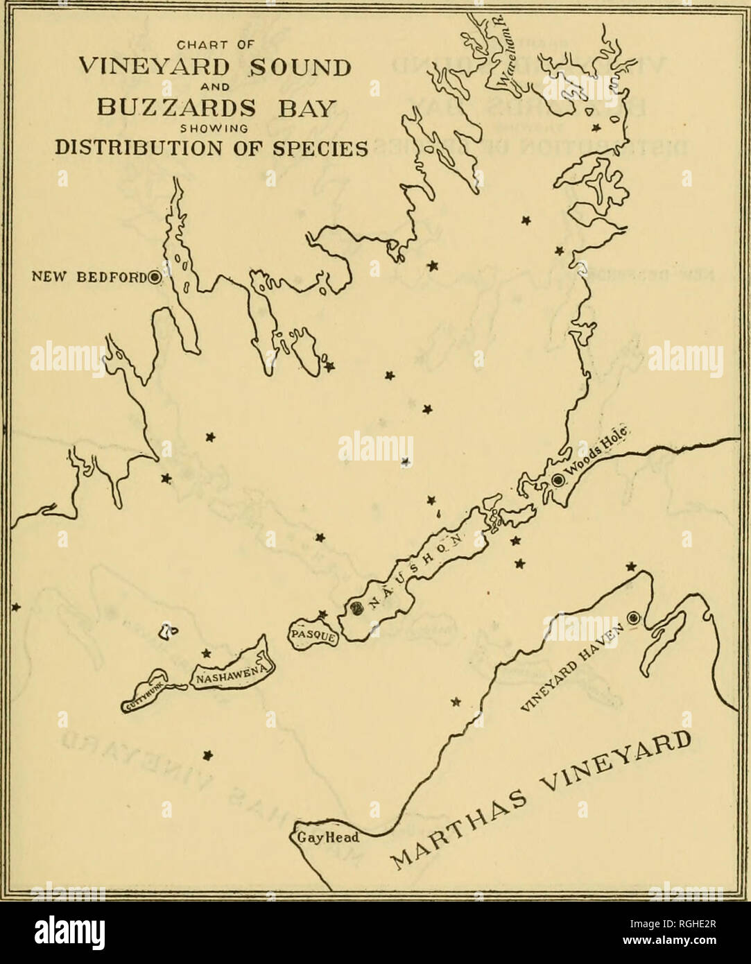 . Bulletin of the Bureau of Fisheries. Fisheries; Fish culture. BIOLOGICAL SURVEY OF WOODS HOLE AND VICINITY. 291. Chart 73.—Ampharete setosa.. Please note that these images are extracted from scanned page images that may have been digitally enhanced for readability - coloration and appearance of these illustrations may not perfectly resemble the original work.. United States. Bureau of Fisheries. Washington, D. C. : Govt. Print. Off. Stock Photo