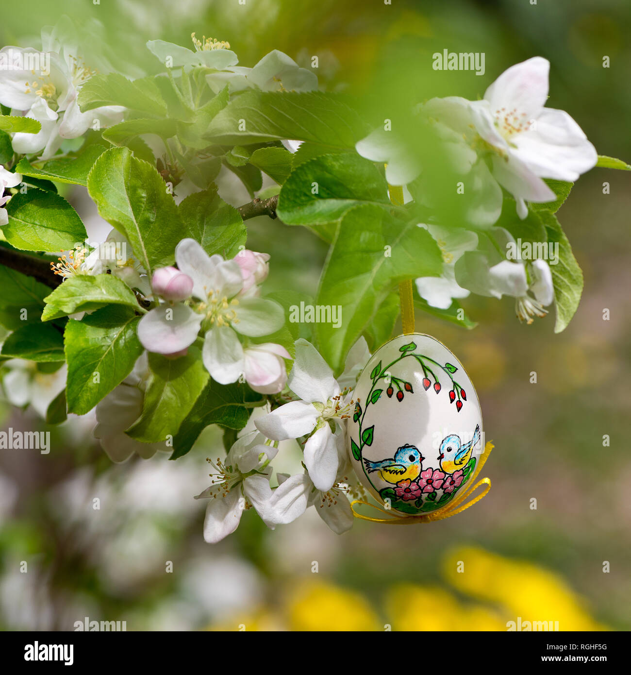 Painted Easter egss hanging on the apple tree in the springtime Stock Photo