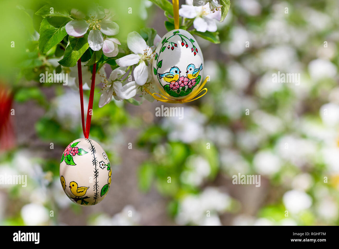 Painted Easter egss hanging on the apple tree in the springtime Stock Photo