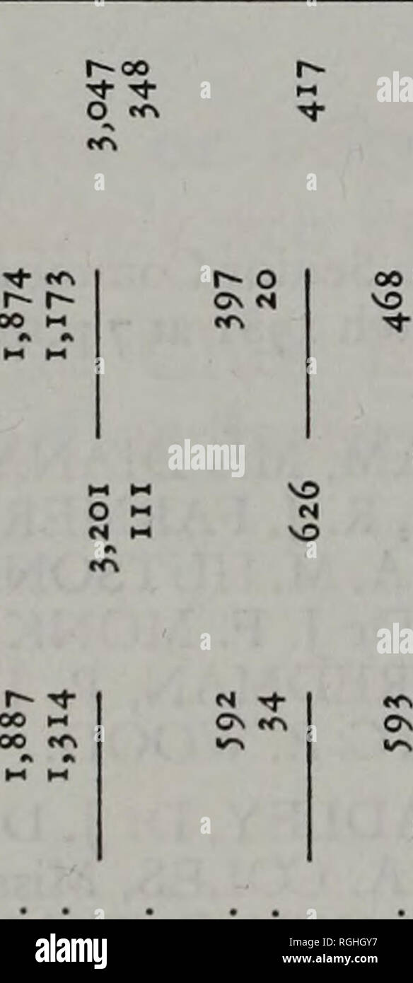 Page 128 1 11 G High Resolution Stock Photography And Images Alamy