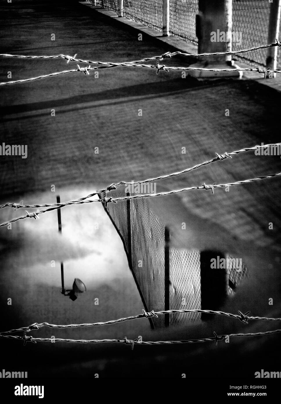 Prison fence and barbed wire reflected in pool of rain water monochrome ...