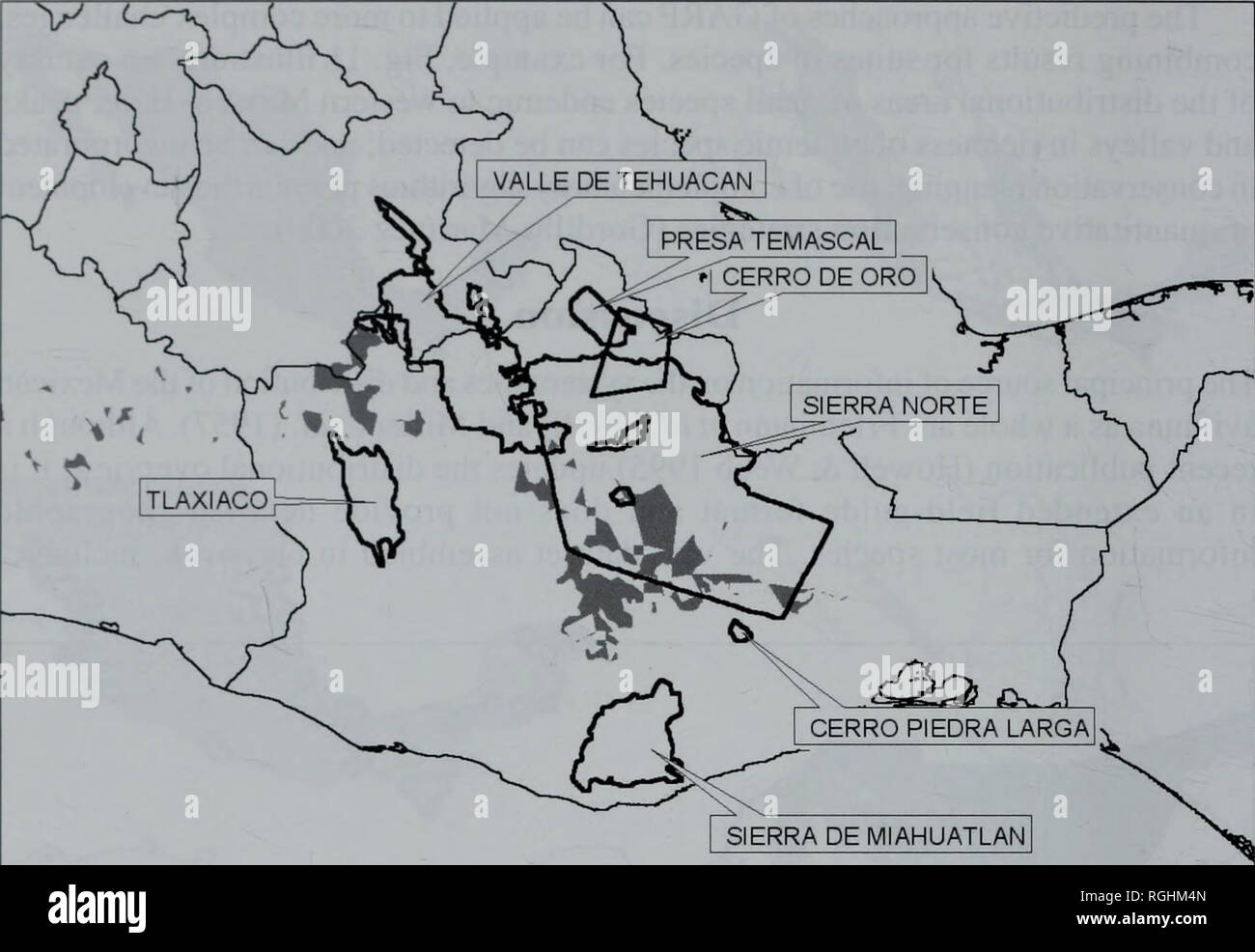 . Bulletin of the British Ornithologists' Club. Adotfo G. Navarro S. et al. 222 Bull. B.O.C. 2003 123A. PRESA TEMASCAL   CERRO DE PRO] Figure 11. Predicted distributional area (solid grey) of a range-restricted endemic species, the Oaxaca Sparrow Aimophila notosticta. Polygons represent Important Bird Areas (IB As) proposed for the region (Arizmendi &amp; Marquez 2000). Note that only the Valle de Tehuacan Reserve is an area protected officially. specimens, bibliographic records and some field observational data, forms the basis for our Atlas of Mexican birds, currently in preparation in colla Stock Photo