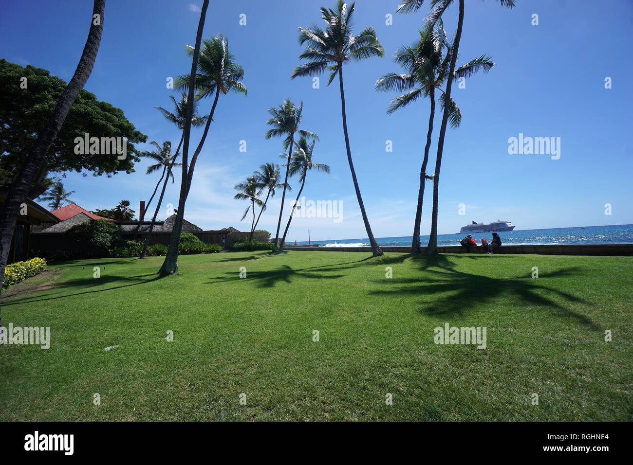 Kona hawaii palm trees hi-res stock photography and images - Alamy