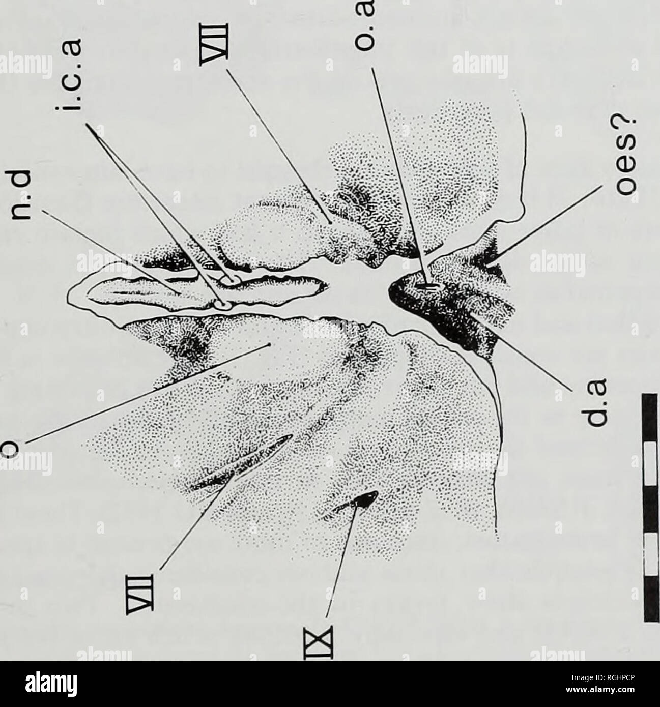 Page 6 8a J High Resolution Stock Photography And Images Alamy