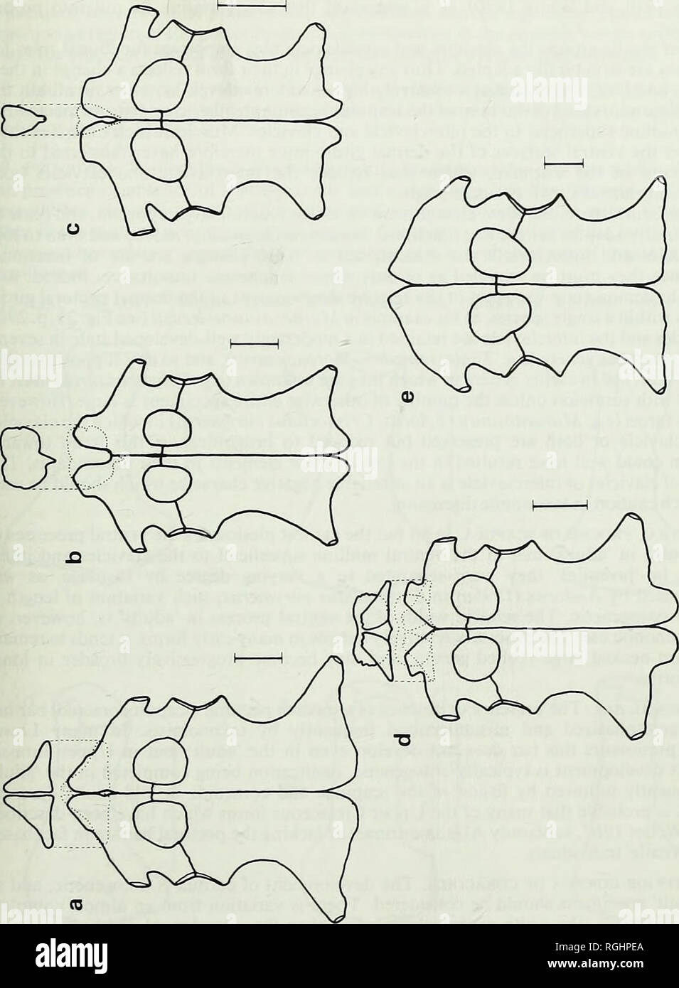Bulletin Of The British Museum Natural History Upper Jurassic Plesiosauroidea 331 B Li To T3 C A I Fc O O O Ik O A Rj A Nj Od