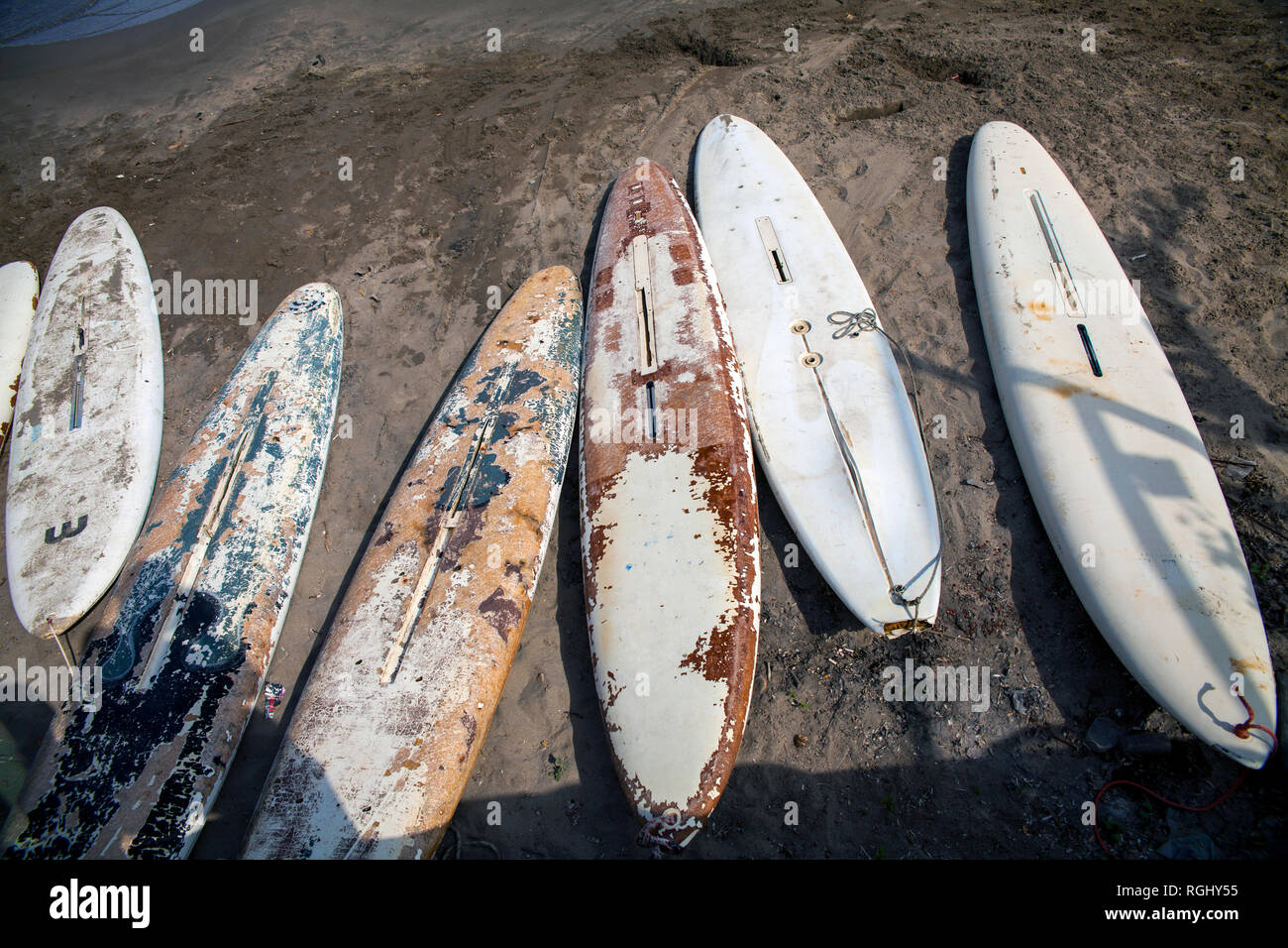 Windsurfing boards on the beach. Stock Photo