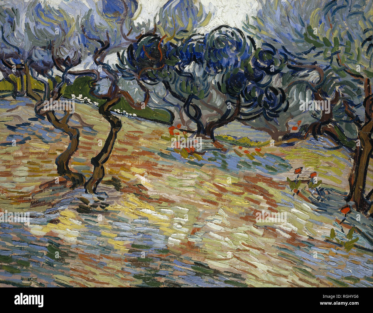 Van Gogh Painting - Olive Trees Stock Photo