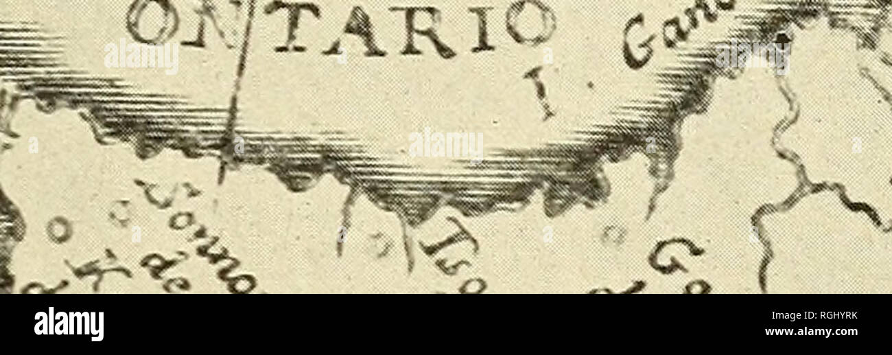 C Abl High Resolution Stock Photography And Images Alamy