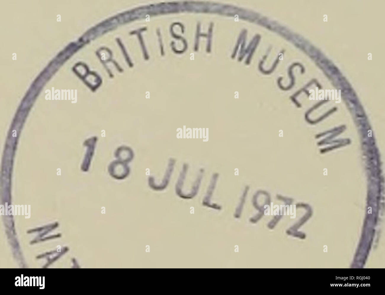 Ignavus High Resolution Stock Photography and Images Alamy