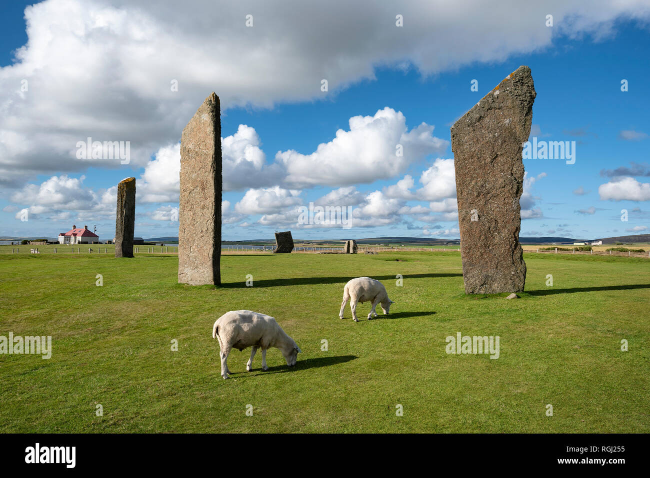 Great Britain, Scotland, Orkney, Mainland, Neolithic stone circle Stock Photo