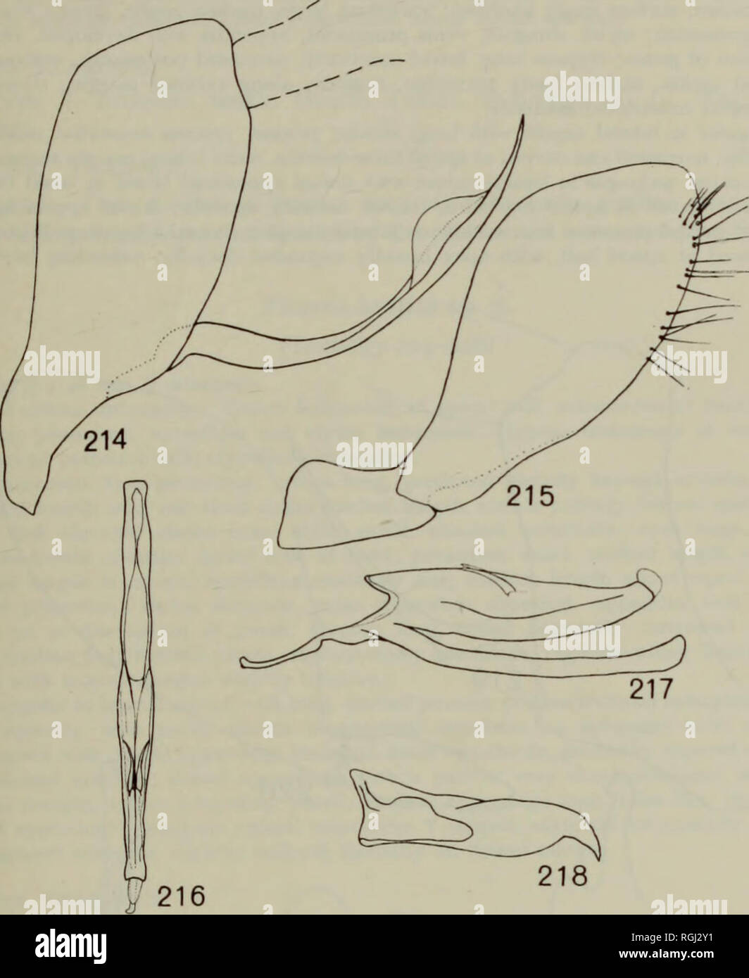 Bulletin - United States National Museum. Science. 112 TnsriTED