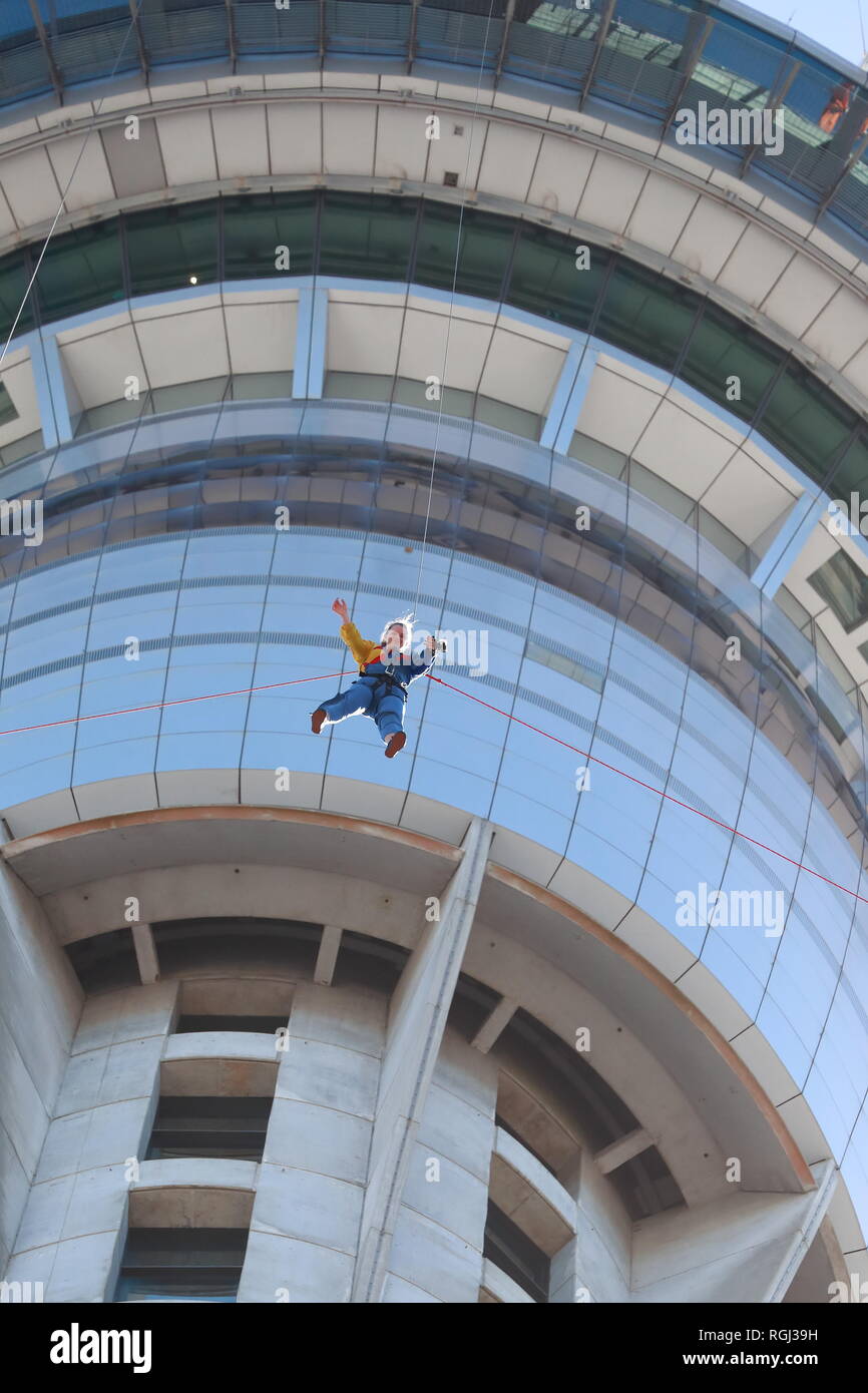 Brave visitors enjoy a sky jump from Auckland's Sky Tower, New Zealand Stock Photo