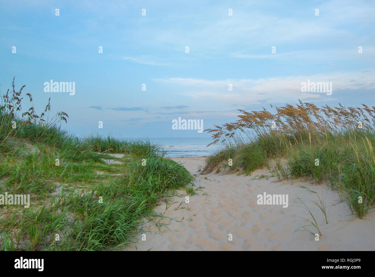 Beach Path Through Sand Dunes Near Sandbridge Beach In Virginia Beach Virginia Stock Photo Alamy Beach Path Through Sand Dunes Near Sandbridge Beach In Virginia Beach Virginia Stock Photo Alamy