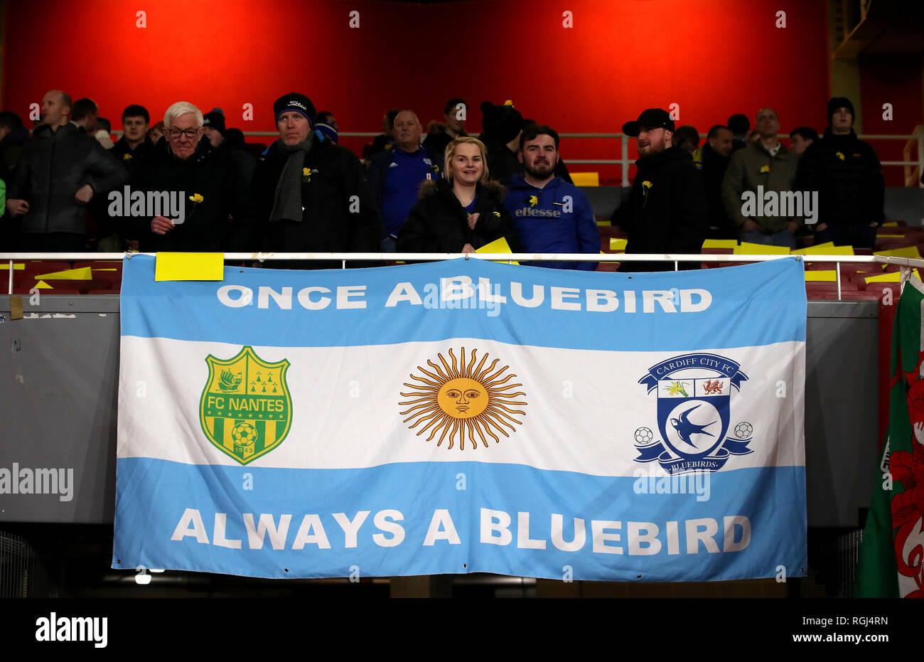 Cardiff City's request to have 10,000 fans return to Bluebirds matches is  refused by Welsh Government - Wales Online