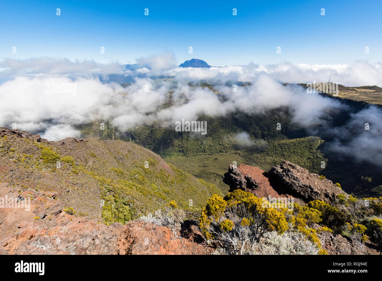 Reunion, Reunion National Park, Stock Photo