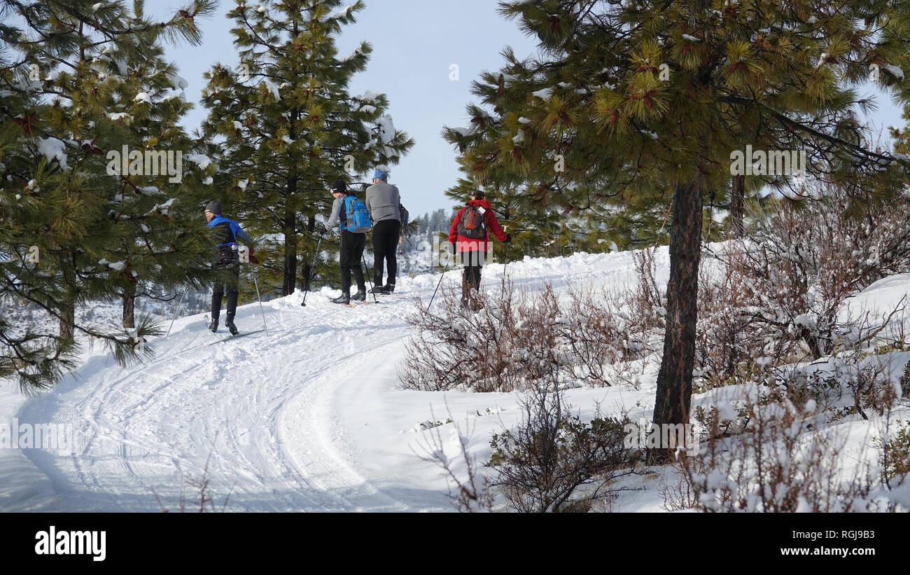 A group of crosscountry skiers stop on a trail at Echo Ridge to enjoy