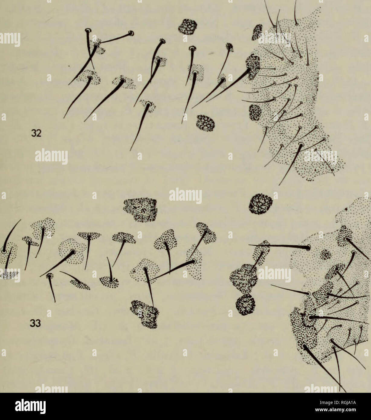 August 6 1965 High Resolution Stock Photography And Images Alamy August 6 1965 High Resolution Stock Photography And Images Alamy