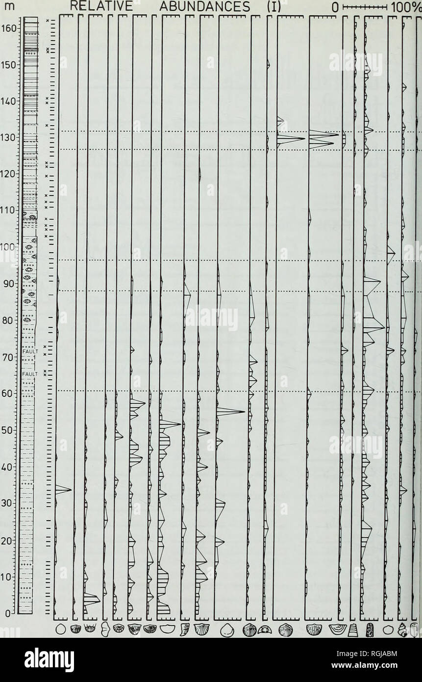 . Bulletin of the British Museum (Natural History), Geology. 214 R. WATKINS IVE ABUNDANCES (I) 0 100% i. 47 17 26 4936 30 27 29 13 28 37 20 I 23 31 33 8 14 50 9 15 Fig. 17 Faunal profile of the Protochonetes ludloviensis Association (PI), Shaleria ornatella Association (So), laevigata Association (Ml) in section 3A, Woodbury Quarry. Symbols are explained in Figs 14 and. Please note that these images are extracted from scanned page images that may have been digitally enhanced for readability - coloration and appearance of these illustrations may not perfectly resemble the original work.. Britis Stock Photo
