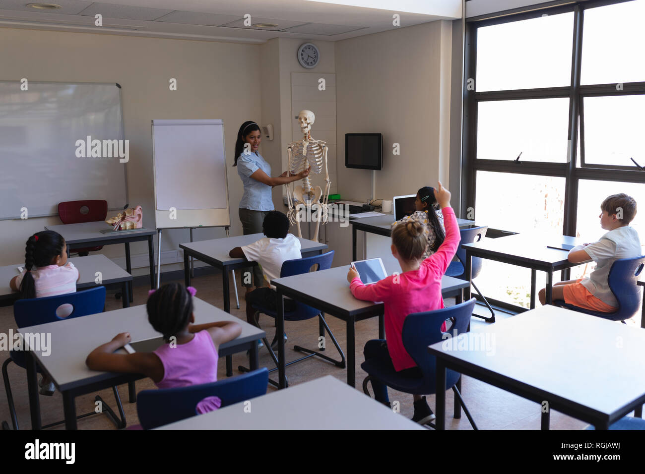 Front view of female teacher explaining skeleton parts to schoolkids in classroom of elementary school Stock Photo