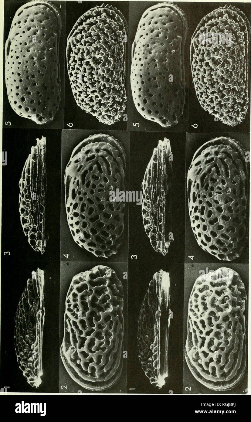 Page 474 N A R T High Resolution Stock Photography And Images Alamy