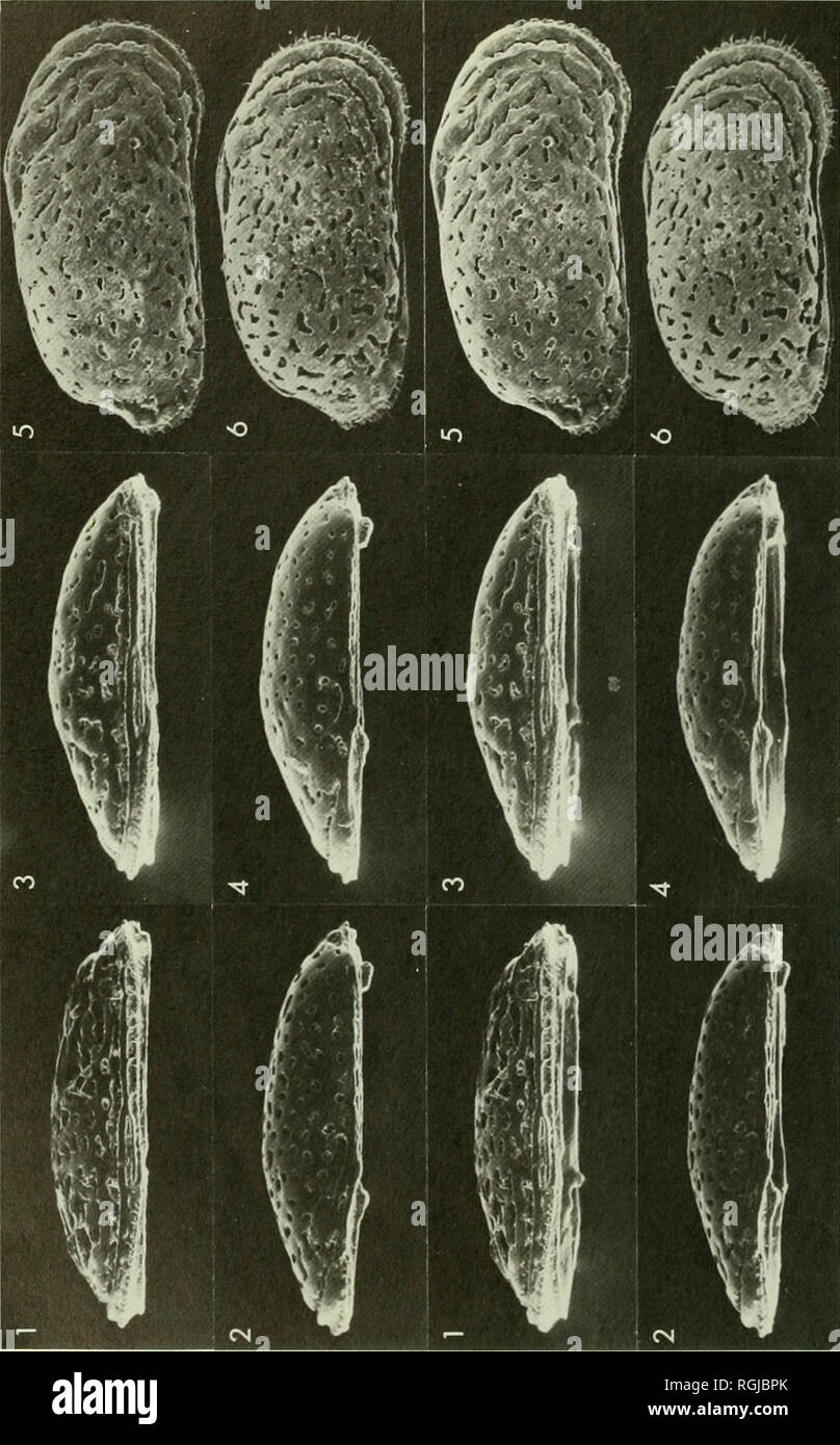 Bulletin Of The British Museum Natural History O C 2 Gt J O 1 Quot O O A 1 O Ei O U Iz U 3 Aj S O 5 S