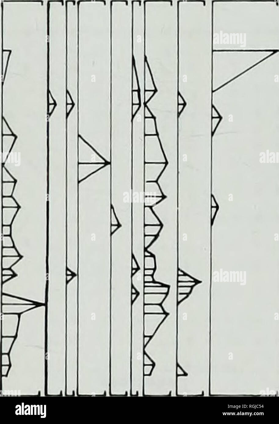 . Bulletin of the British Museum (Natural History), Geology. &gt; i &gt;. RHIW MARCH Fig. 11 Percentage distribution of taxa in the upper part of the Allt Ddu Formation at Craig y Gath and Rhiw March. Abbreviations refer to Paracraniops (Paracr), Dinorthis (Din), Dalmanella (D), Onniella (O), Reuschel/a (Reu), Bicuspina (Bic), Sowerbyella (Sowerb), Sericoidea (Ser), Macro- coelia (Mac), Leptaena (Lep), Rostricellula (R), Broeggerolithus (Broeg), Brongniartella (B), Sinuites (B1), Gastropoda (G2), Bivalvia (Bi), Macheridia (C), ramose Bryozoa (B1), prasoporid Bryozoa (B2), Graptoloidea (G). Lit Stock Photo