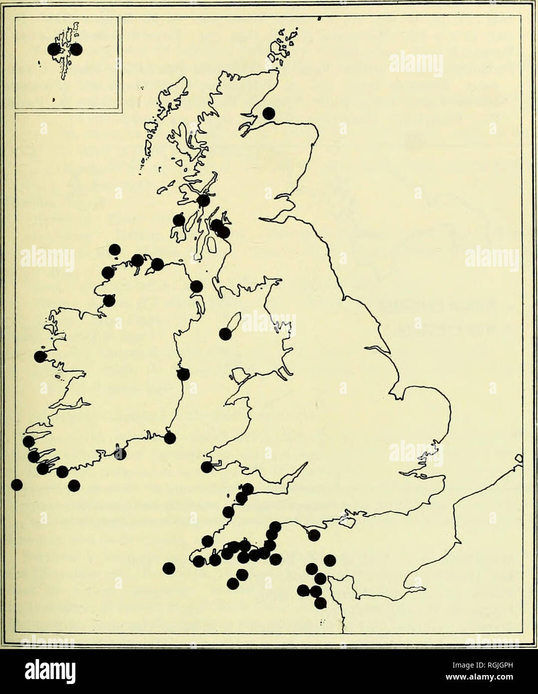 . Bulletin of the British Museum (Natural History). CARYOPHYLLIA SMITHIl IN BRITISH WATERS 407. Fig. 2. The recorded distribution of Caryophyllia smithii around the British Isles. Western Channel records are more fully represented in Figs, i and 3.. Please note that these images are extracted from scanned page images that may have been digitally enhanced for readability - coloration and appearance of these illustrations may not perfectly resemble the original work.. British Museum (Natural History). London : BM(NH) Stock Photo