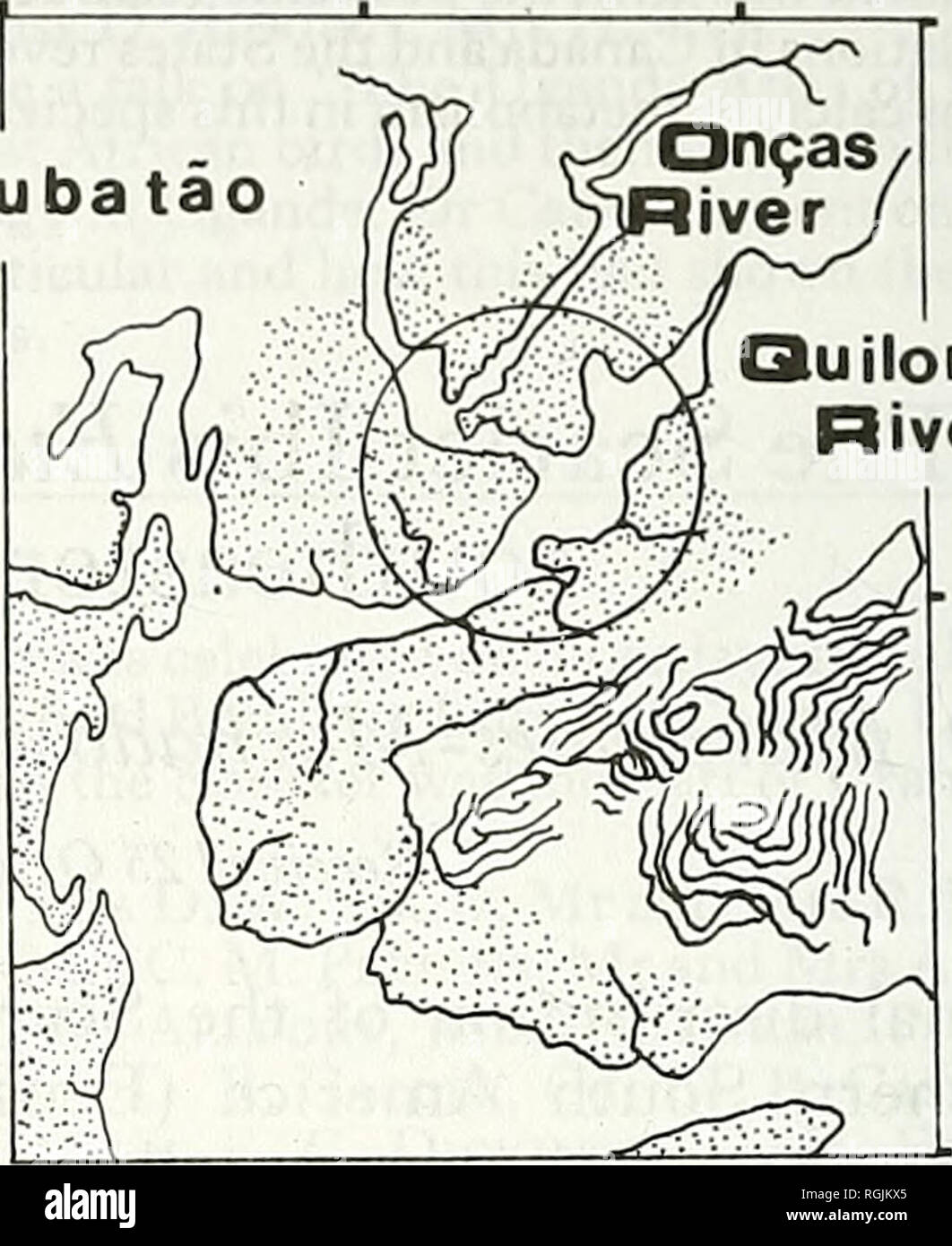 . Bulletin of the British Ornithologists' Club. Birds. Quilombo River. 53' 55' km Figure 1. The estuarine system of Santos, SP, Brazil. The circle indicates the area in which feeding, roosting and nest building of the Scarlet Ibis Eudocimus ruber took place. The dotted area represents the mangroves. the shore or from a small boat. We recorded the number of birds, their spacial distribution, and the presence of nests and their characteristics, but avoided close inspection of the nests to minimize disturbance. We also obtained some information from the boatman, who has lived in the region for ma Stock Photo