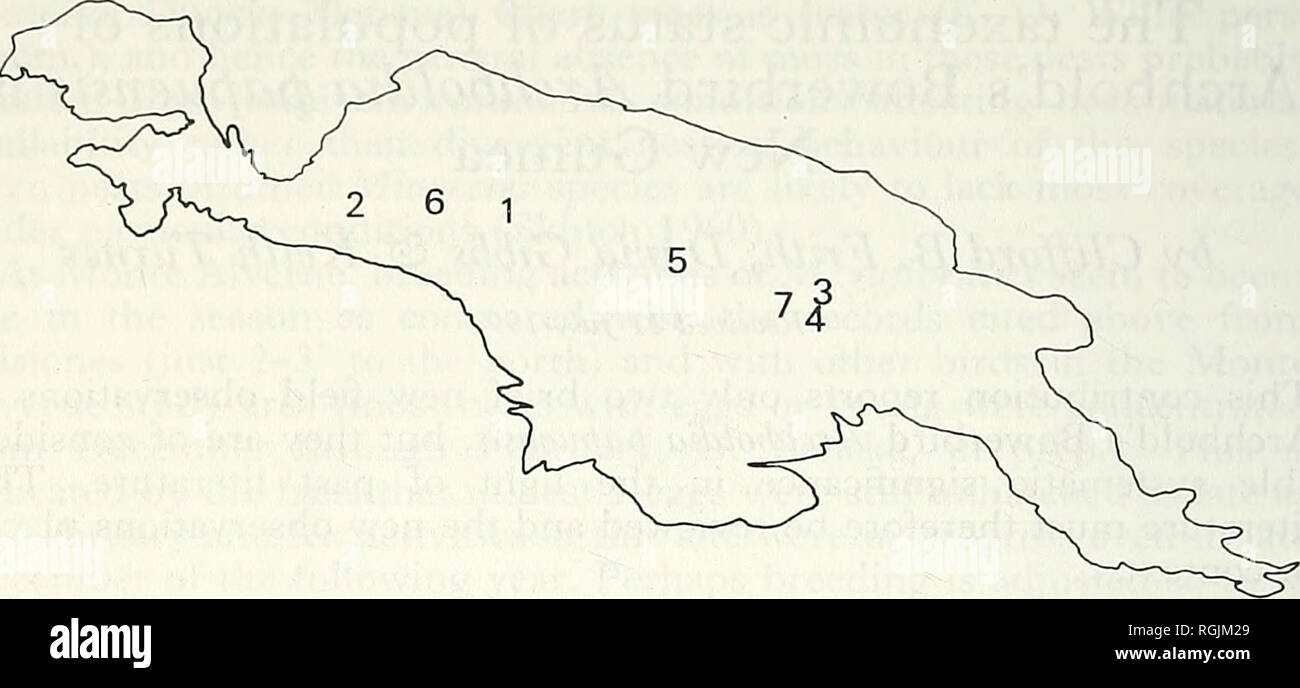 . Bulletin of the British Ornithologists' Club. Birds. C. B. Frith et al. Ill) Bull. B.O.C. 1995 115(2). Figure 1. Outline map of mainland New Guinea showing some localities mentioned in literature on Archbold's Bowerbird Archboldia papuensis: l=Bele River (type locality); 2 = Wissel Lakes, or Wisselmeren, area; 3 = Mt. Hagen; 4 = Mt. Giluwe; 5 = Telefolmin, from which Gilliard searched in vain for Archboldia on the Victor Emanuel and Hindenberg Mountains; 6=Ilaga Valley; 7 = Tari Gap. In 1950 E. Thomas Gilliard obtained 11 Archboldia specimens (7 adult males, 1 subadult male, 2 females and 1  Stock Photo
