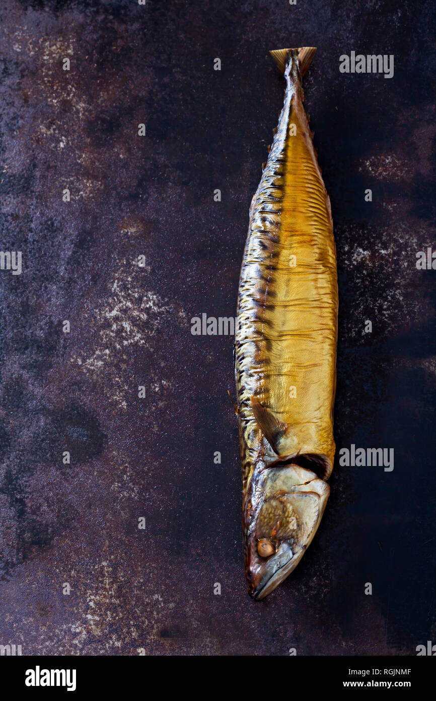 The rusty mackerel hires stock photography and images Alamy