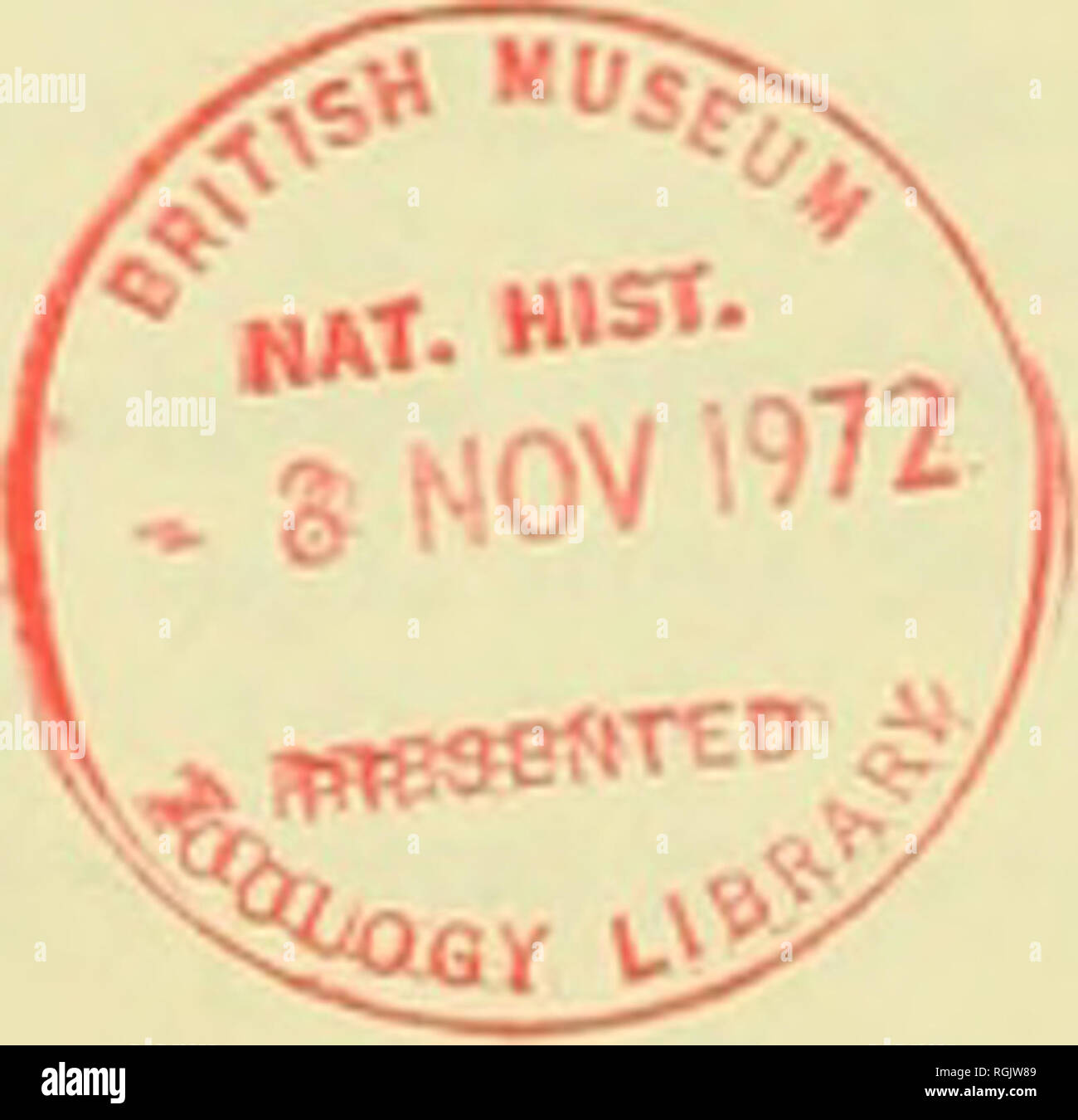 381 40 High Resolution Stock Photography And Images Alamy