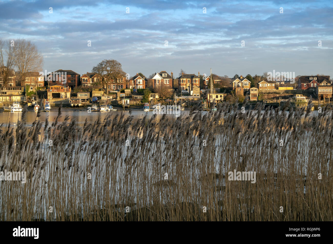 Houses lining the river Itchen lit up by the evening sunlight
