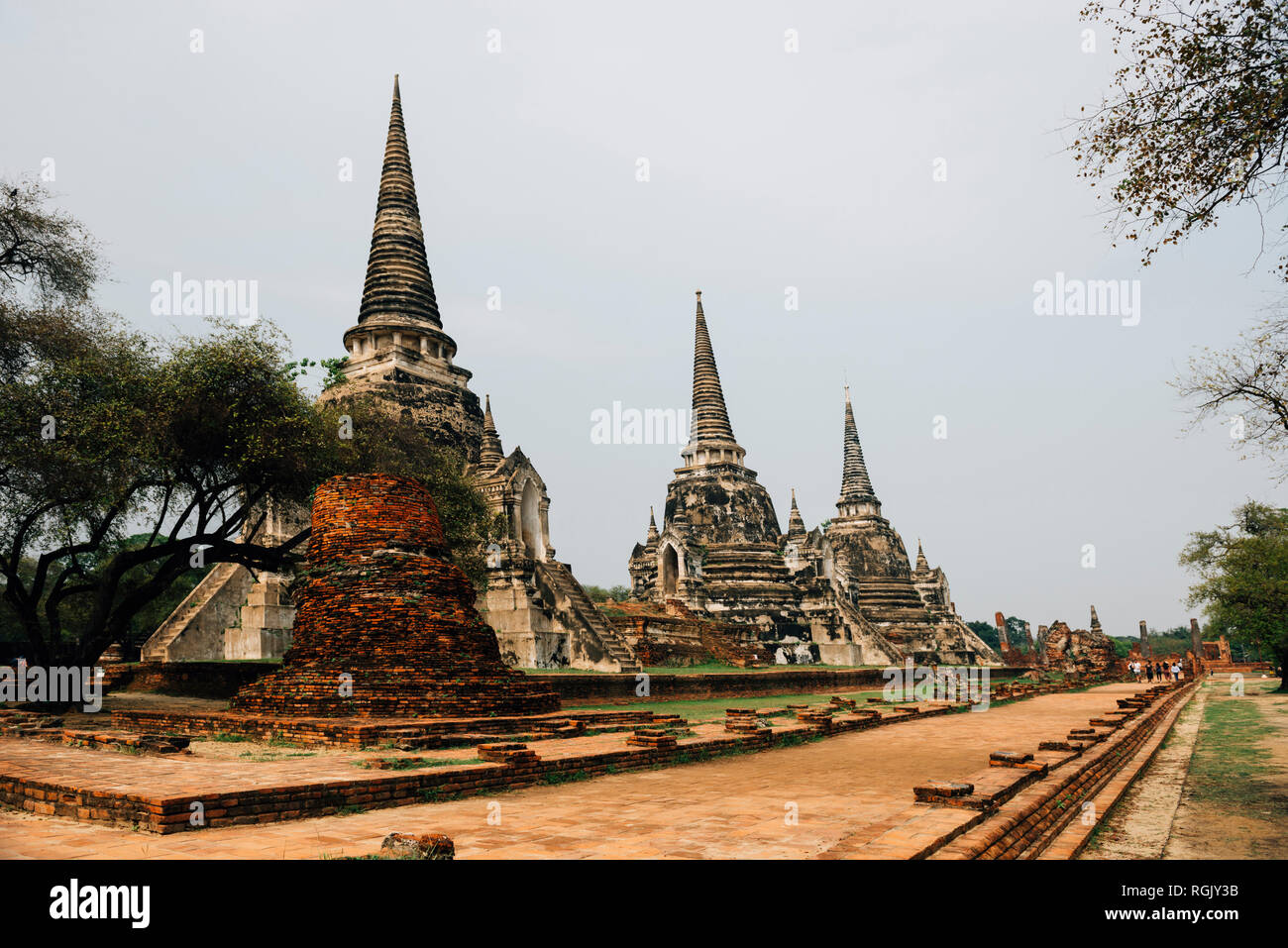 Thailand, Ayutthaya, Ancient ruins of Wat Mahathat temple Stock Photo