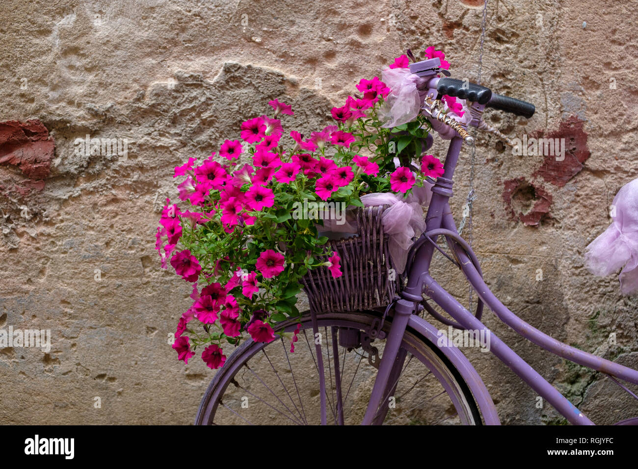 Italy, old bicycle with flowers Stock Photo