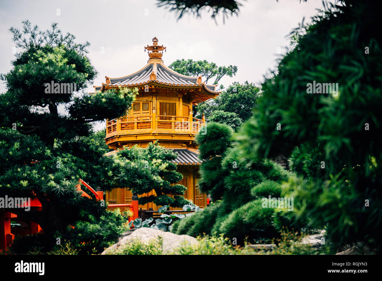China, Hong Kong, Diamond Hill, Nan Lian Garden, Golden Pavilion of Absolute Perfection Stock Photo
