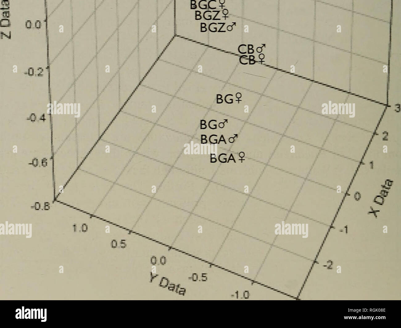 . Bulletin of the British Ornithologists' Club. Birds. So&quot; ROcT BGCcT BGC?.. Figure 7. Results of a Principal Components Analysis for wing, tail and bill (culmen) lengths of all taxa of'desert finches' plotted three dimensionally. BG = Bucanetes githagineus githagineus (12 males, three females), BGA = B. g. amantum (seven males, seven females), BGC = B. g. crassirosfris (11 males, ten females), BGZ = B. g. zedlitzi (20 males, three females), BM = B. mongolicus (26 males, 16 females), CB = Callacanthis burtoni (nine males, eight females), RO = Rhodospiza obsoleta (14 males, eight females). Stock Photo